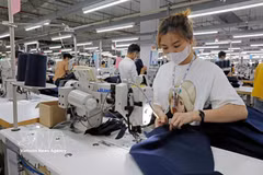 Trabajadores confeccionan prendas destinadas a la exportación al mercado de Estados Unidos en la empresa de confección TAL Vinh Phuc. (Foto: VNA)