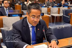 El ministro consejero Nguyen Hai Luu, subjefe de la Misión Permanente de Vietnam ante las Naciones Unidas. Foto: VNA