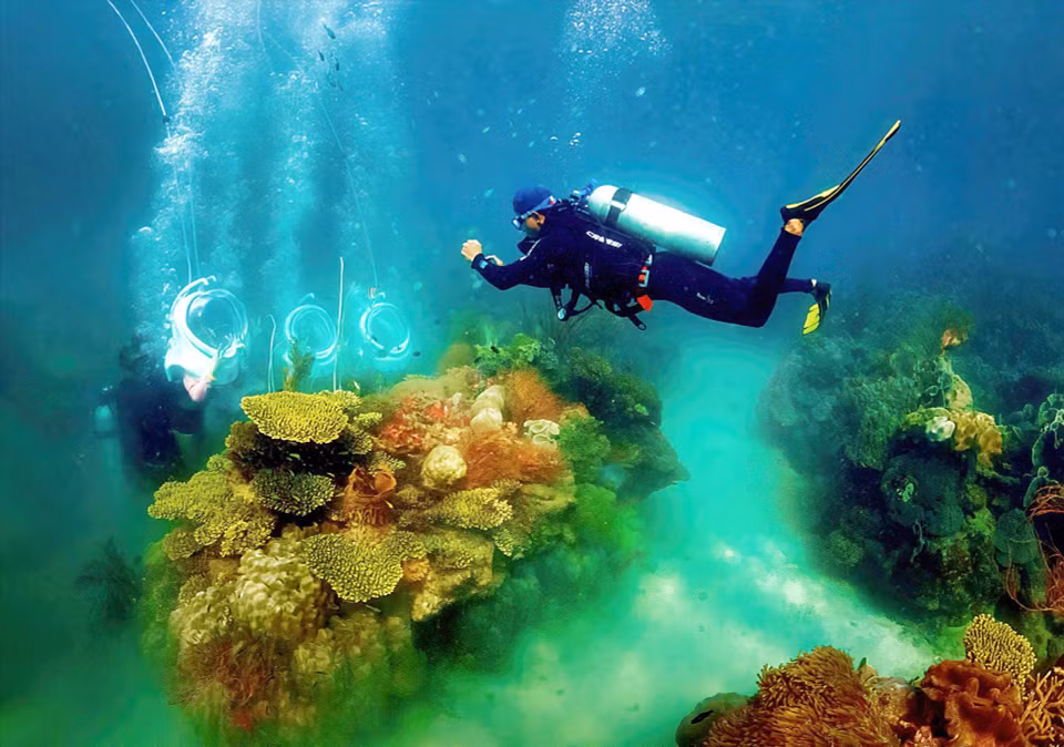 La colorida belleza de las especies de coral y los bancos de peces en el agua del parque de coral Seaworld. (Fuente: VNA)