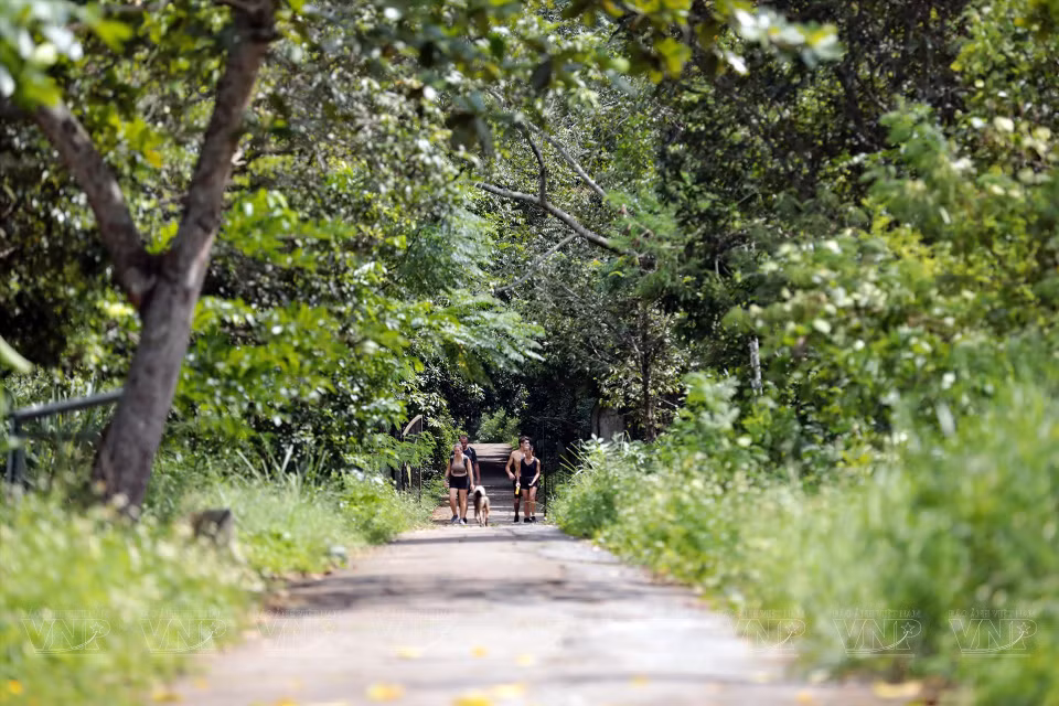 Desde la carretera que cruza el mar, habrá pequeños senderos que ayudarán a los visitantes a caminar a través de bosques sombreados. (Fuente: VNA)