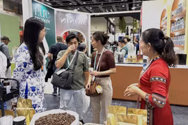 Clientes malasios disfrutan del café vietnamita. (Foto: VNA)