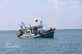Foto ilustrativa (Fuente: VNA) 