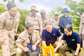 El vicecanciller vietnamita Do Hung Viet y el embajador de Estados Unidos en Vietnam, Marc E. Knapper, activan la detonación controlada de una bomba en Quang Tri, el 2 de abril de 2025. (Fuente: VNA)