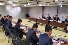 Sesión de trabajo entre la delegación del Comité Popular de Ciudad Ho Chi Minh y la Oficina de Política Digital de Hong Kong. (Foto: VNA)