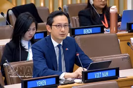 El embajador Do Hung Viet interviene en nombre de la ASEAN. (Foto: VNA)