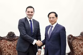 El viceprimer ministro y canciller de Vietnam, Bui Thanh Son, y el ministro delegado francés de Comercio Exterior y de Franceses en el Extranjero, Laurent Saint-Martin. (Fuente: VNA)