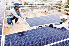 Instaladores de paneles solares en Ciudad Ho Chi Minh. (Foto: nhandan.vn)