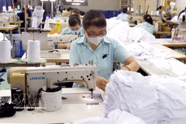 Producción de ropa deportiva en AMPFIELD (Vietnam), Parque Industrial Tan Binh, Ciudad Ho Chi Minh. (Foto: VNA)
