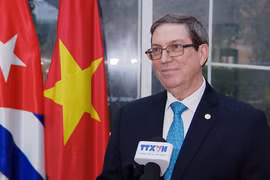 Relación Vietnam-Cuba es un ejemplo de solidaridad para un mundo mejor, afirma canciller cubano