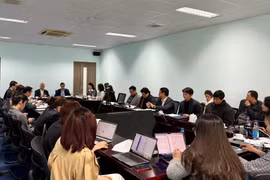 Primera edición de Feria de Primavera de Vietnam se efectuará en febrero