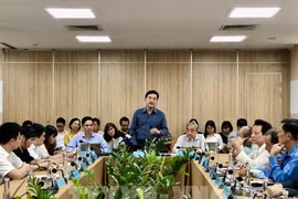 Bui Ta Hoang Vu, director del Departamento de Industria y Comercio de Ciudad Ho Chi Minh, preside la reunión (Fuente: VNA) 