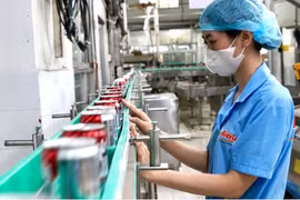 La producción en la empresa Bidrico. (Fuente: sggp.org.vn) 