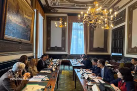 En la sesión de trabajo entre la delegación de la Comisión de Cultura y Asuntos Sociales de la Asamblea Nacional de Vietnam y la Comisión de Justicia de la Cámara de Representantes belga. (Foto: VNA) 