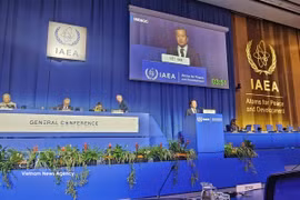Nguyen Hoang Linh, director de la Agencia de Seguridad Radiológica y Nuclear, pronuncia un discurso (Foto: VNA)