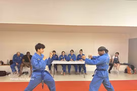 Los miembros del club practican el vovinam (Foto: VNA)