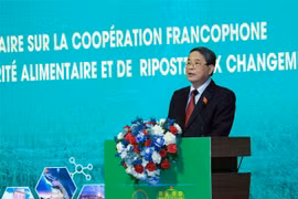 El vicepresidente de la Asamblea Nacional de Vietnam, Nguyen Duc Hai, pronuncia su discurso de clausur. (Fuente: VNA)