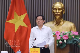 El viceprimer ministro de Vietnam, Ho Quoc Dung, preside la reunión (Fuente: VNA)