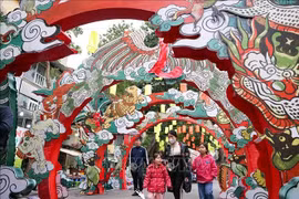 El ambiente del Tet en la calle Phung Hung, Hanoi. (Fuente: VNA)