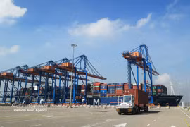 Camiones portacontenedores operando en el puerto internacional de Gemalink, parte del sistema portuario de Cai Mep. (Foto: VNA)