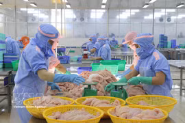 Procesamiento de productos acuícolas para la exportación en la provincia de An Giang. (Foto: VNA)