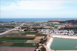 La zona en que se construirá la planta nuclear de Ninh Thuan 2 (Fuente: VNA) 