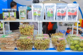 Uvas, manzanas y productos de algas marinas que cumplen con los estándares OCOP de la planta de productos agrícolas ecológicos de Trang Huynh, comuna de Phuoc Dinh, provincia de Khanh Hoa, en la Feria de Otoño 2025. (Foto: VNA)