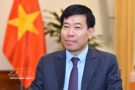 El viceministro de Relaciones Exteriores de Vietnam, Nguyen Manh Cuong. (Foto: VNA)