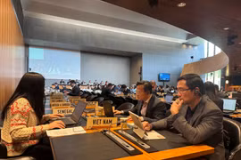 El subjefe de la misión permanente de Vietnam en Ginebra y ministro consejero, Pham Quang Huy, y los miembros de la delegación (Fuente: VNA) 