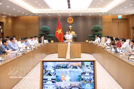 El viceprimer ministro de Vietnam, Le Tien Chau, preside la reunión (Foto: VNA)