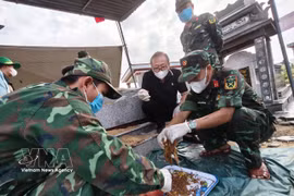 El Comando Militar de la ciudad de Da Nang halla numerosos objetos en una fosa común que contiene los restos de 17 soldados caídos en la comuna de Thu Bon, ciudad de Da Nang. (Foto: VNA)