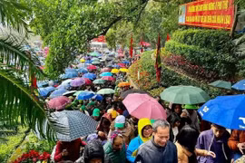 Decenas de miles de personas visitan el Templo de los Reyes Hung (Fuente: Du Lich Phu Tho)