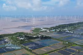 Proyecto de energía eólica marina en la comuna de Dong Hai, provincia de Ca Mau. (Foto: VNA)