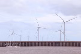Ca Mau se centra en el desarrollo de energías renovables, aprovechando la ventaja de su costa de más de 310 km. (Foto: VNA)