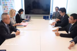 El viceprimer ministro de Vietnam Nguyen Van Thang se reúne con el secretario general adjunto de Asuntos Económicos y Sociales de las Naciones Unidas (ONU), Li Junhua. (Foto: VNA) 