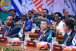 El primer ministro de Vietnam, Le Minh Hung, participa en la 18.ª Cumbre de los BRICS. (Foto: VNA)