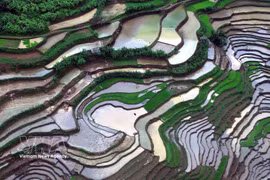Son La: Los arrozales en terrazas de Muong La durante la temporada de vertido de agua