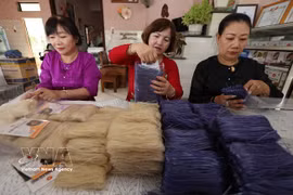 An Phong, una aldea tradicional de elaboración de fideos, ubicada en la comuna de Phu Cat, provincia de Binh Dinh (Foto: VNA)