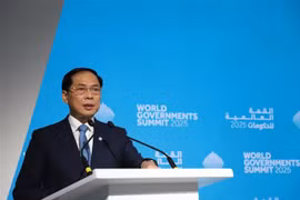 El viceprimer ministro de Vietnam Bui Thanh Son pronuncia un discurso en la la Cumbre Mundial de Gobiernos 2025 en Dubái. (Fuente: VNA)