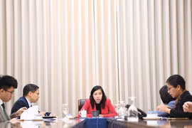 La vicecanciller de Vietnam, Le Thi Thu Hang, durante la llamada telefónica. (Fuente: VNA)